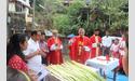 Palm Sunday celebration at Infant Mary church, Bajjodi